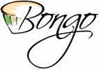 Agence web Bongo, conseil en communication
