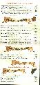 menus du restaurant : LOU PICHOUN page 03