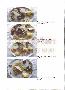 menus du restaurant : LES PALMIERS page 10