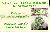 menus du restaurant : RESTO'CACTUS page 01
