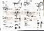 menus du restaurant : Orbecquoise Restaurant L page 08