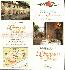 menus du restaurant : RESTAURANT L'ORANGERIE DU CHATEAU