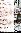 menus du restaurant : LE GARDE MANGER page 02