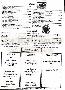 menus du restaurant : Dea Pizzeria page 04