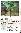 menus du restaurant : LA FORET D'EMERAUDE page 01
