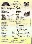 menus du restaurant : CHEZ ANTHONY page 04