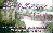 menus du restaurant : LE VILLAMENDE