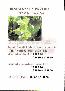 menus du restaurant : PIZZA PAZZA page 03