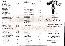 menus du restaurant : FRITES CITY NICE page 03