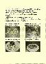 menus du restaurant : RESTAURANT LE PANORAMIC page 03
