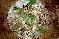 menus du restaurant : Favouille Restaurant La page 06
