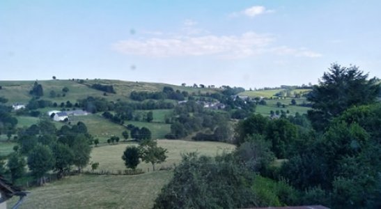 Photo 08