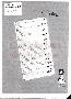 menus du restaurant : Chez Tante Liesel Winstub page 02