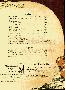 menus du restaurant : Favina Pizzeria page 02