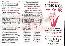 menus du restaurant : Le Nouvel Iris D or page 01