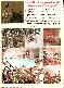 menus du restaurant : Eurl Crest Hotel page 02