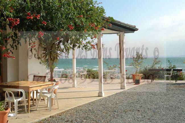 Restaurant Hotel Restaurant De La Plage Carte Et Menus