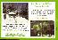 menus du restaurant : Le Banc De L Ours page 01