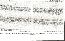 menus du restaurant : L abbaye Paul Bocuse page 23